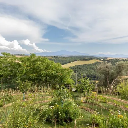 Apartment Borgo D'asso *