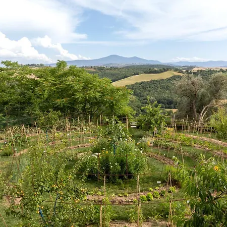 Borgo D'asso * San Giovanni dʼAsso